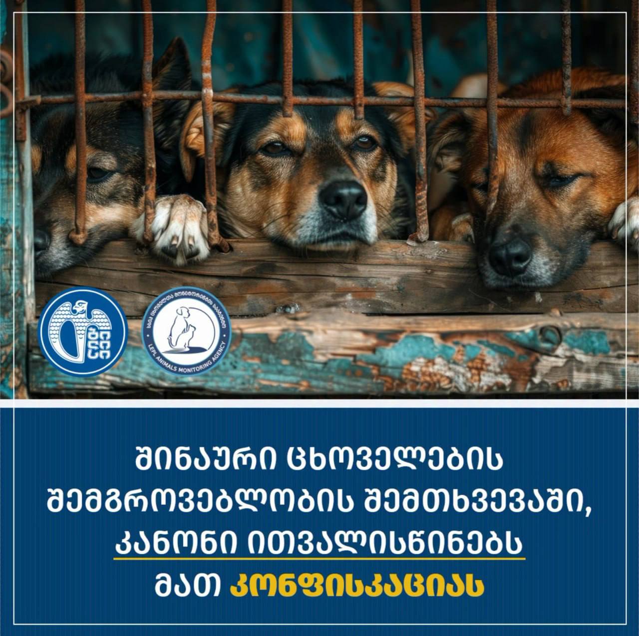 С 1 июля начнут забирать животных у тех, кто держит их в плохих условиях