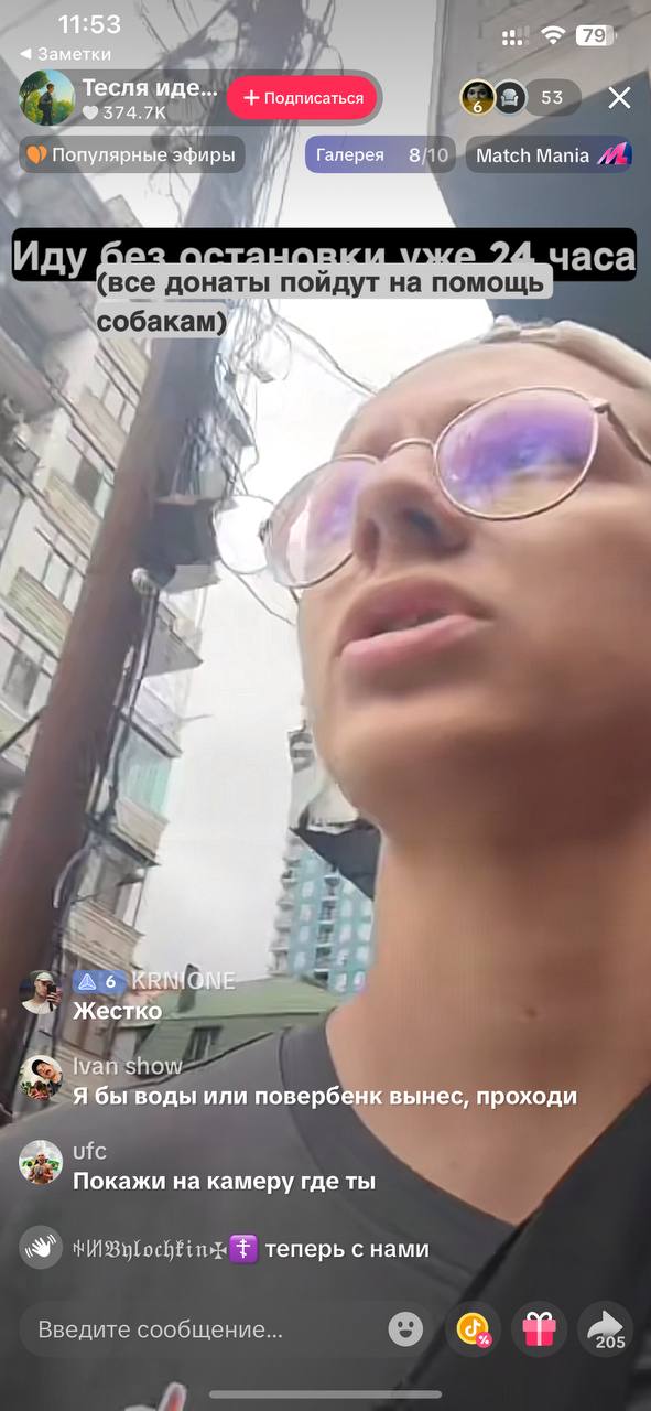 Батумский блогер уже больше суток не завершает стрим — ради помощи бездомным животным