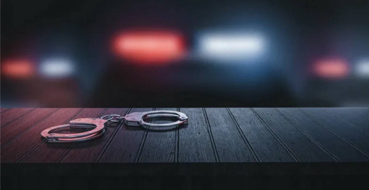 Фальшивые документы, миллионы в обороте и отмывание денег: в Грузии раскрыли масштабную преступную схему