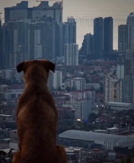Не только быстрее: что стоит за новым четырехчасовым маршрутом Тбилиси — БатумиС 3 августа дорога между Тбилиси и Батуми