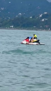 «Спасательная операция» в море: в Батуми помогли собаке, которую унесло от берега