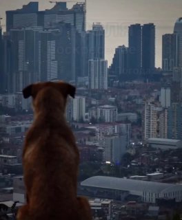 Новый корпус для дегустации: Национальное агентство вина расширяется за счет бюджетаНациональное агентство вина готовитс