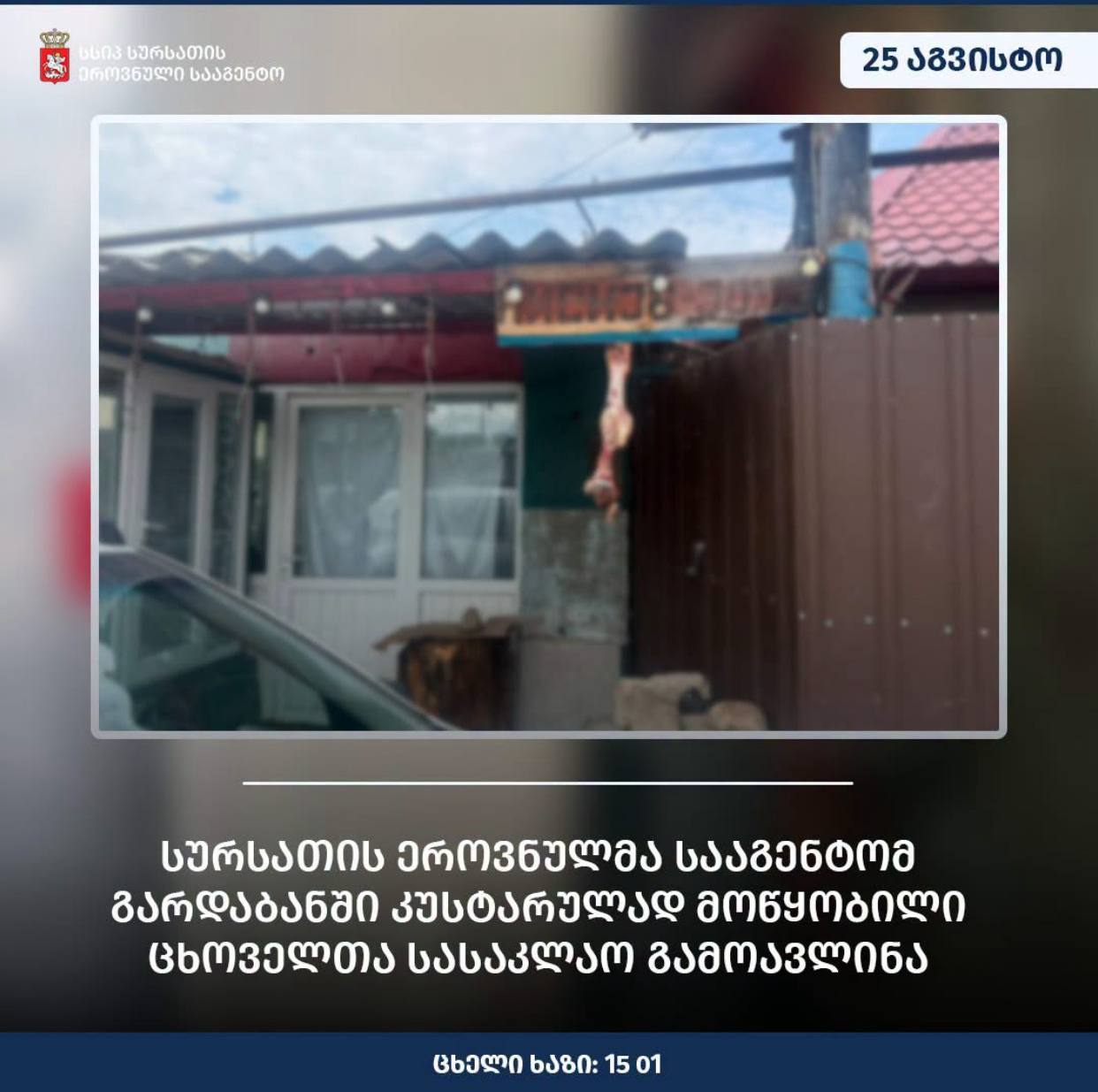 Кустарная бойня в Гардабани: производство остановили
