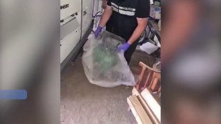 В Тбилиси сорвали поставку почти 4 кг «альфа-PVP»: стоимость партии — 1,5 млн лари