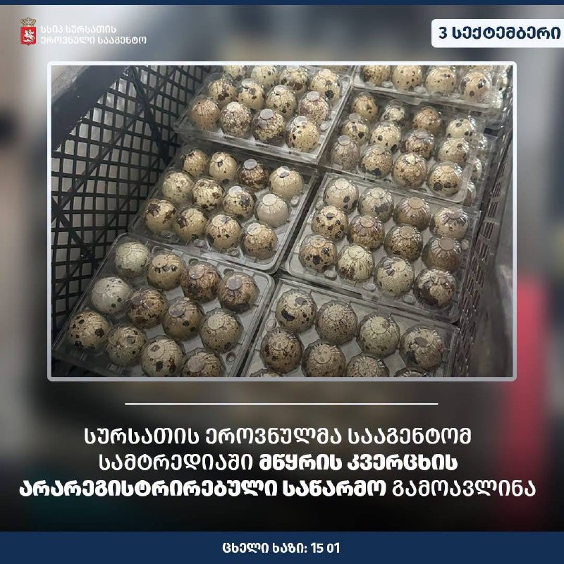 В Самтредиа выявили незаконное производство перепелиных яиц