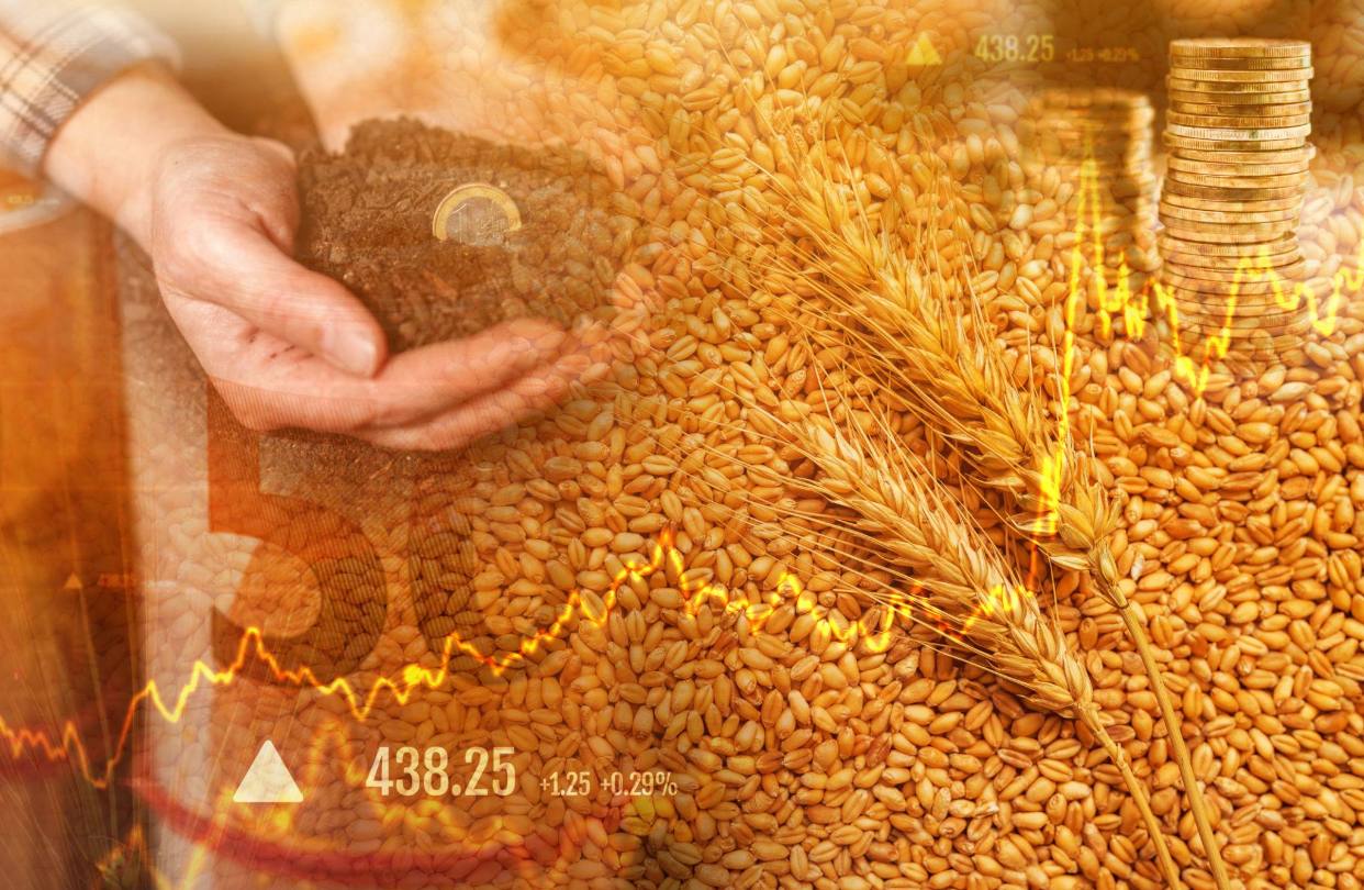 Продукты дорожают по всему миру: что стоит за ростом цен