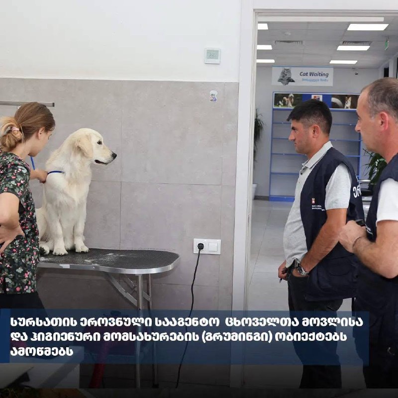 Груминг-салоны в стране попали под ветеринарный контроль