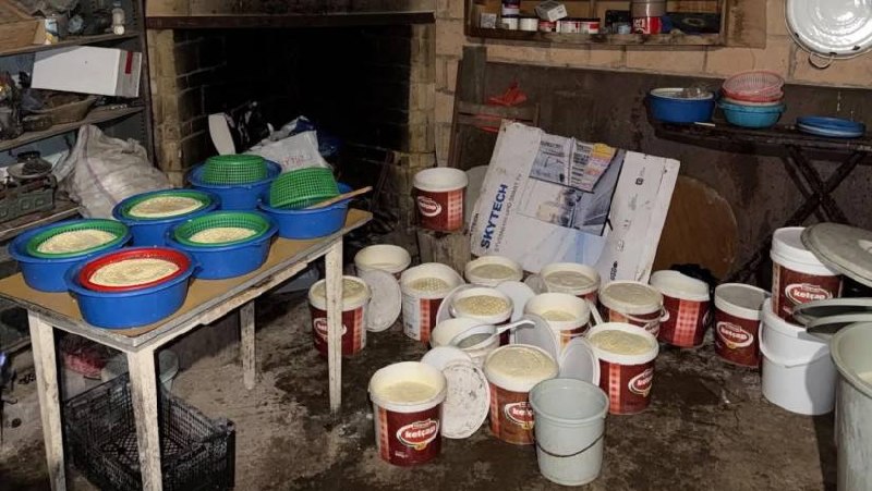 В Терджоли выявили нелегальное производство сыра