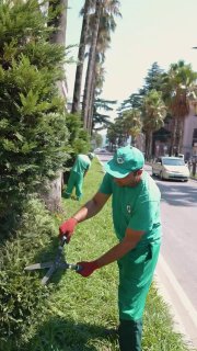 Служба озеленения Батуми поделилась кадрами ежедневной работы по благоустройству города — улицы, парки и зелёные зоны…