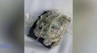 Тбилиси задержали мужчину с более чем полкилограммом кокаина